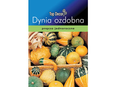 Zdjęcie: Dynia ozdobna TOP DECOR