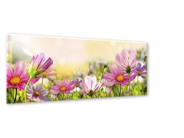 Zdjęcie: Obraz Glasspik Flowers 50x125 cm Gl051 Astry STYLER