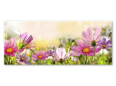 Zdjęcie: Obraz Glasspik Flowers 50x125 cm Gl051 Astry STYLER