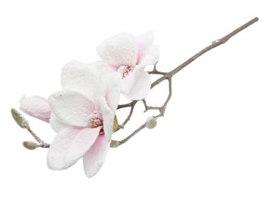 Zdjęcie: Gałązka magnolii śnieżona 50 cm TOP GIFTS