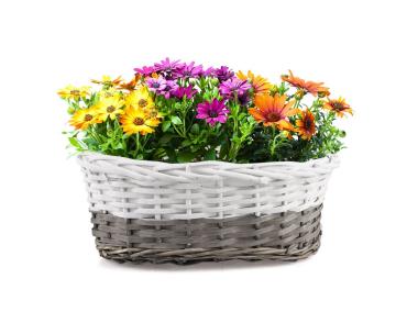 Zdjęcie: Balkonówka koszyk na kwiaty z folią 32x19x12 cm TIN TOURS