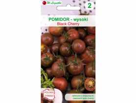 Pomidor gruntowy wysoki Black Cherry W.LEGUTKO