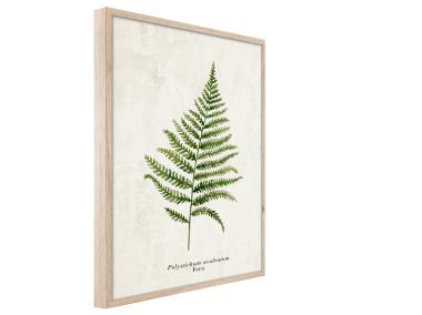 Zdjęcie: Plakat Framepic 50x70 cm Fp036 Fern STYLER