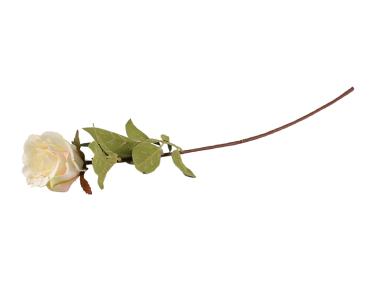 Zdjęcie: Róża pojedyncza CV06236-13 TOP GIFTS
