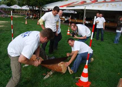 Piknik JOKA 2008